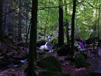  (C) 2008 by G. Doczkal, 
Das Gertelbachtal, 
Gertelbachtal bei Sand, Baden-Württemberg, Germany