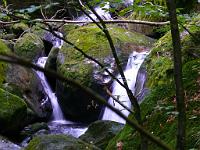 20080821-104632-70
