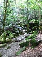  (C) 2008 by G. Doczkal, 
Der Weg, 
Gertelbachtal bei Sand, Baden-Württemberg, Germany