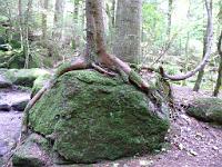  (C) 2008 by G. Doczkal, 
Holz und Stein, 
Gertelbachtal bei Sand, Baden-Württemberg, Germany