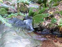  (C) 2008 by G. Doczkal, 
Wasser und Zeit, 
Gertelbachtal bei Sand, Baden-Württemberg, Germany