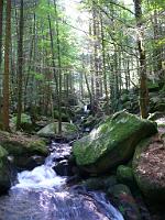  (C) 2008 by G. Doczkal, 
Das Gertelbachtal, 
Gertelbachtal bei Sand, Baden-Württemberg, Germany