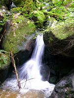  (C) 2008 by G. Doczkal, 
Stromschnellen, 
Gertelbachtal bei Sand, Baden-Württemberg, Germany
