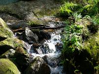  (C) 2008 by G. Doczkal, 
Stromschnellen, 
Gertelbachtal bei Sand, Baden-Württemberg, Germany