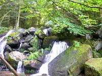  (C) 2008 by G. Doczkal, 
Stromschnellen, 
Gertelbachtal bei Sand, Baden-Württemberg, Germany