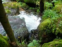  (C) 2008 by G. Doczkal, 
Stürzendes Wasser, 
Gertelbachtal bei Sand, Baden-Württemberg, Germany