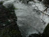  (C) 2008 by G. Doczkal, 
Stürzendes Wasser, 
Gertelbachtal bei Sand, Baden-Württemberg, Germany