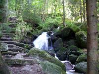  (C) 2008 by G. Doczkal, 
Das Gertelbachtal, 
Gertelbachtal bei Sand, Baden-Württemberg, Germany