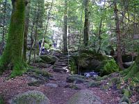  (C) 2008 by G. Doczkal, 
Der Weg, 
Gertelbachtal bei Sand, Baden-Württemberg, Germany