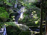  (C) 2008 by G. Doczkal, 
Felsen, 
Gertelbachtal bei Sand, Baden-Württemberg, Germany