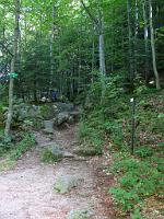  (C) 2008 by G. Doczkal, 
Richtung Wiedenfelsen, 
Gertelbachtal bei Sand, Baden-Württemberg, Germany