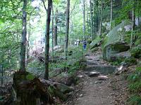  (C) 2008 by G. Doczkal, 
Der Weg, 
Gertelbachtal bei Sand, Baden-Württemberg, Germany