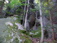  (C) 2008 by G. Doczkal, 
Holz und Stein, 
Gertelbachtal bei Sand, Baden-Württemberg, Germany