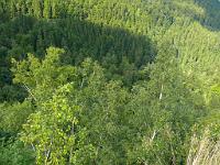  (C) 2008 by G. Doczkal, 
Blick ins Gertelbachtal, 
Wiedenfelsen bei Sand, Baden-Württemberg, Germany
