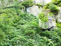  (C) 2008 by G. Doczkal, 
Felsen am Försterbrunnen, 
Streitweg bei Hundseck, Baden-Württemberg, Germany