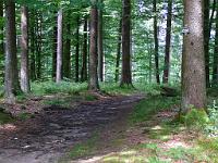  (C) 2008 by G. Doczkal, 
Weg Richtung Plättig, 
Vorfeldkopf bei Sand, Baden-Württemberg, Germany