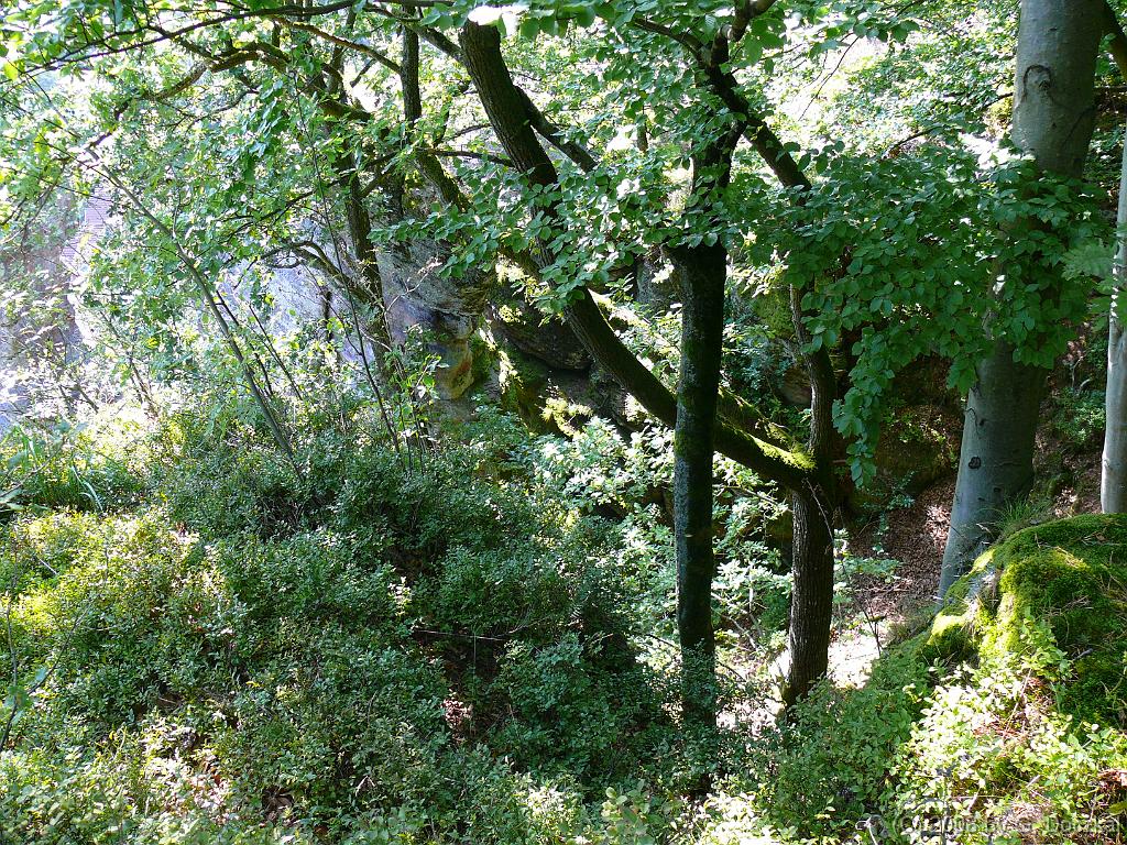 20080830-131459-60