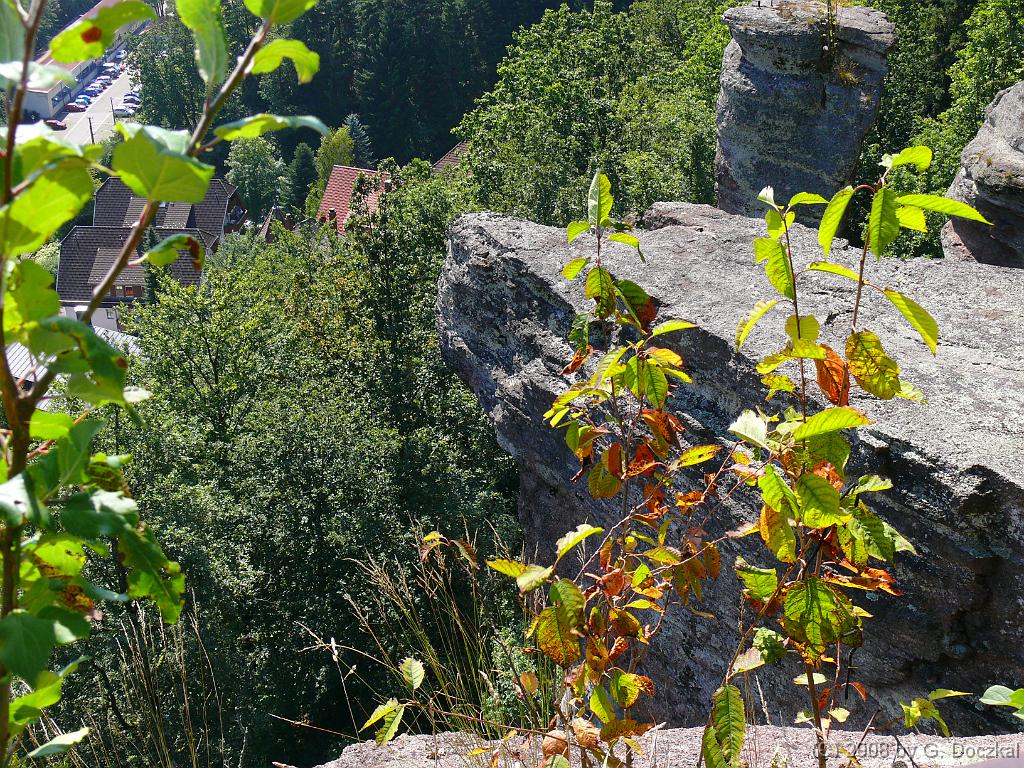 20080830-131713-73