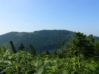  (C) 2008 by G. Doczkal, 
Die Hohe Wanne, 
Mauzenberg bei Bad Herrenalb, Baden-Württemberg, Germany