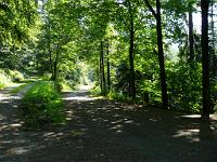  (C) 2008 by G. Doczkal, 
Kreuzung am Bernsteinweg, 
Rennberg bei Bad Herrenalb, Baden-Württemberg, Germany