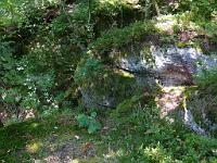  (C) 2008 by G. Doczkal, 
Felsen am Falkenstein, 
Falkenstein bei Bad Herrenalb, Baden-Württemberg, Germany