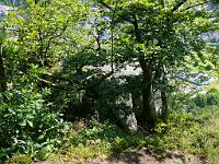  (C) 2008 by G. Doczkal, 
Felsen am Falkenstein, 
Falkenstein bei Bad Herrenalb, Baden-Württemberg, Germany