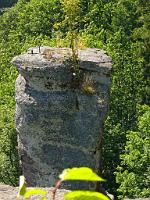  (C) 2008 by G. Doczkal, 
Felsen am Falkenstein, 
Falkenstein bei Bad Herrenalb, Baden-Württemberg, Germany