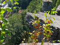  (C) 2008 by G. Doczkal, 
Felsen am Falkenstein, 
Falkenstein bei Bad Herrenalb, Baden-Württemberg, Germany