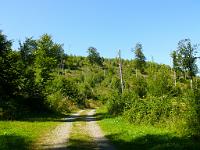  (C) 2008 by G. Doczkal, 
Der Tannschachberg, 
Pfahlwald bei Bernbach, Baden-Württemberg, Germany