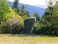  (C) 2008 by G. Doczkal, 
Eichelburger Stein, 
Schartenberg bei Liehenbach, Baden-Württemberg, Germany