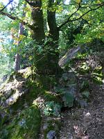  (C) 2008 by G. Doczkal, 
Holz und Stein, 
Schartenberg bei Liehenbach, Baden-Württemberg, Germany