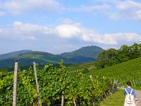  (C) 2008 by G. Doczkal, 
Fremersberg, Büchelberg und Yburg, 
Neuenberg bei Eisental, Baden-Württemberg, Germany