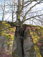  (C) 2009 by G. Doczkal, 
Holz und Stein, 
48.809200°N/8.358837°E, 1.05  Km von Michelbach, Baden-Württemberg, Germany