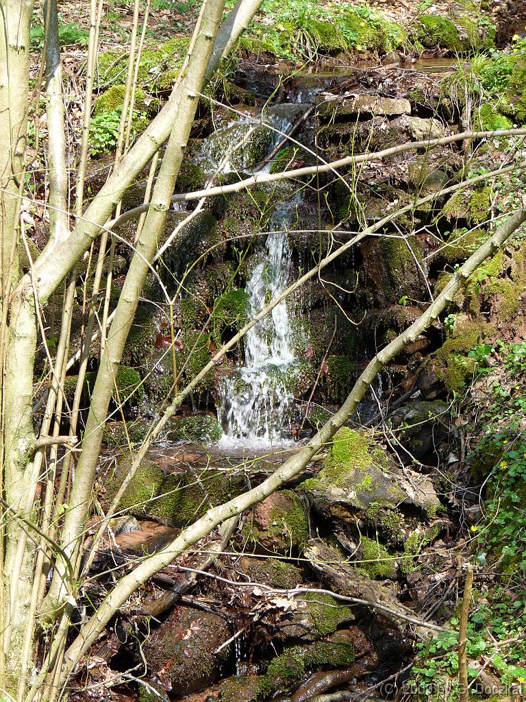 20090410-121636-37