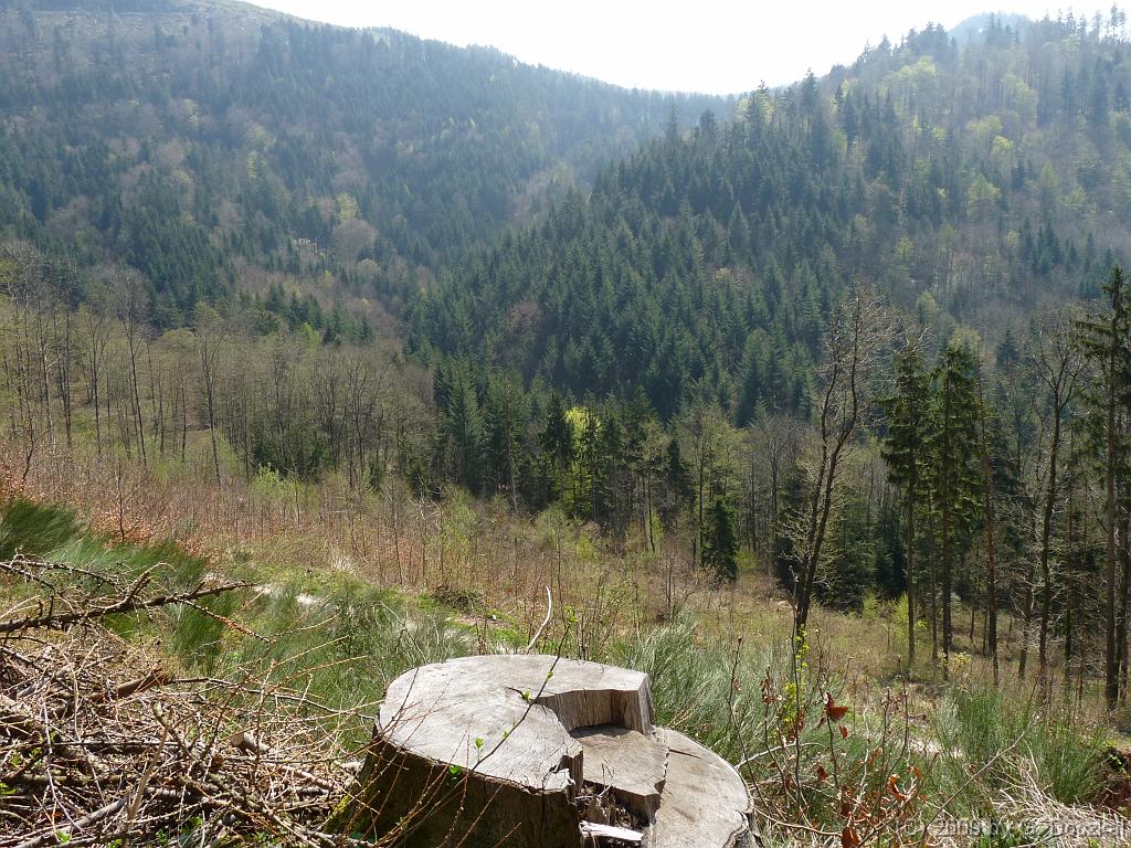 20090410-123505-45