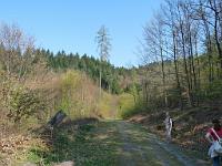  (C) 2009 by G. Doczkal, 
Waldweg im Sonnenschein, 
48.824169°N/8.368857°E, 1.61  Km von Michelbach, Baden-Württemberg, Germany