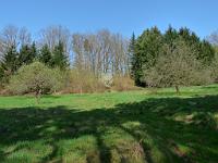  (C) 2009 by G. Doczkal, 
Wiese bei Michelbach, 
48.823086°N/8.365461°E, 1.34  Km von Michelbach, Baden-Württemberg, Germany