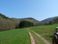  (C) 2009 by G. Doczkal, 
Blick zum Mönchskopf, 
48.818611°N/8.378922°E, 2.25  Km von Bernbach, Baden-Württemberg, Germany