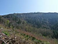  (C) 2009 by G. Doczkal, 
Blick zum Tannschachberg, 
48.822445°N/8.390076°E, 1.41  Km von Moosbronn, Baden-Württemberg, Germany