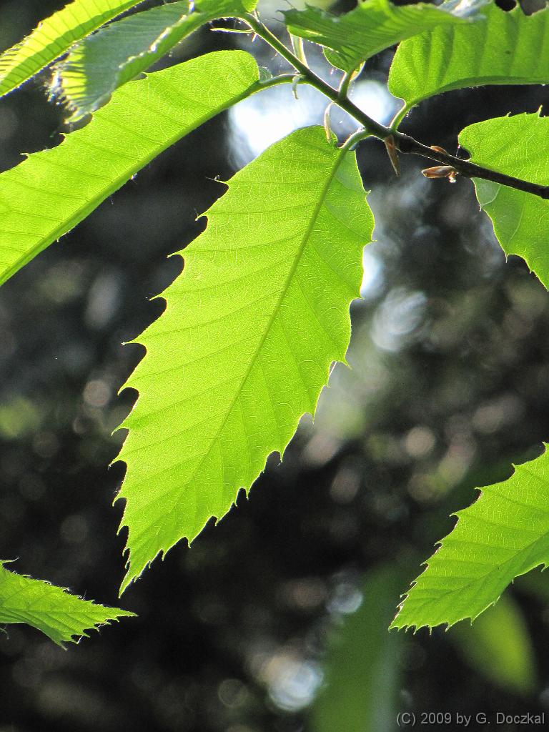 20090502-095733-16