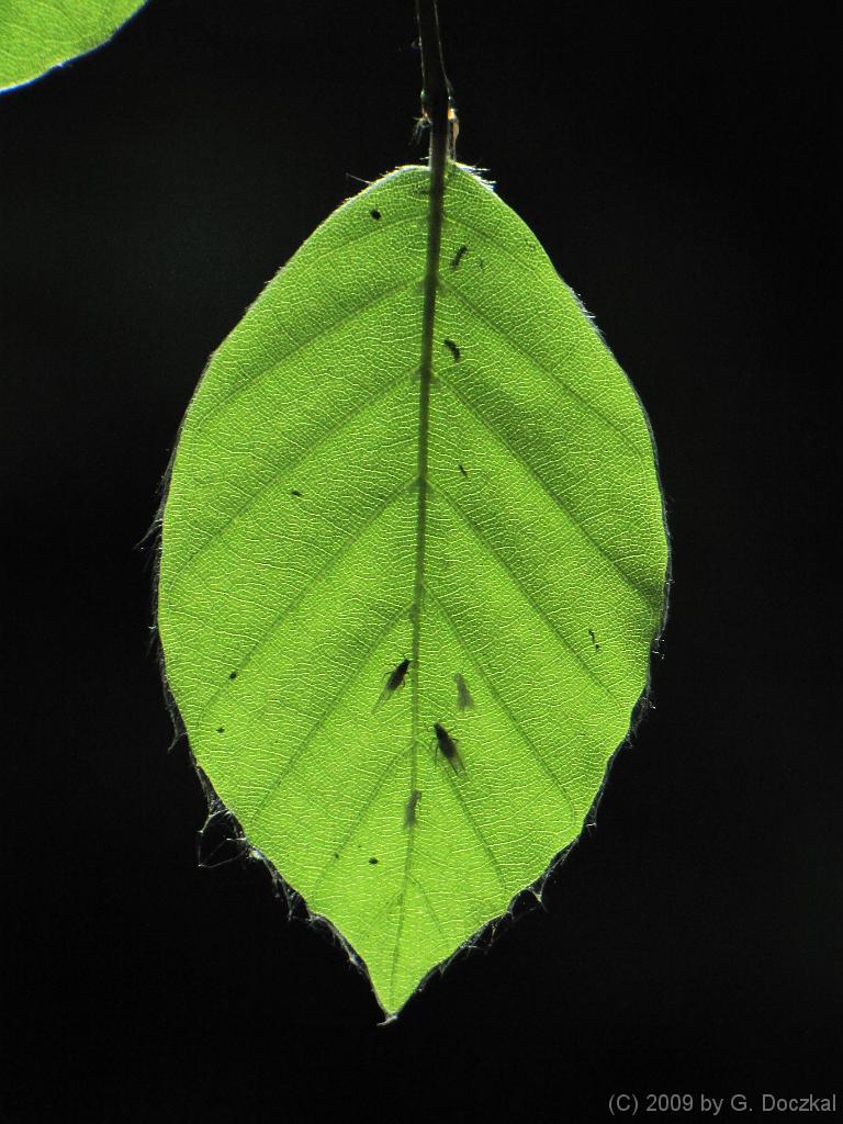 20090502-104846-49