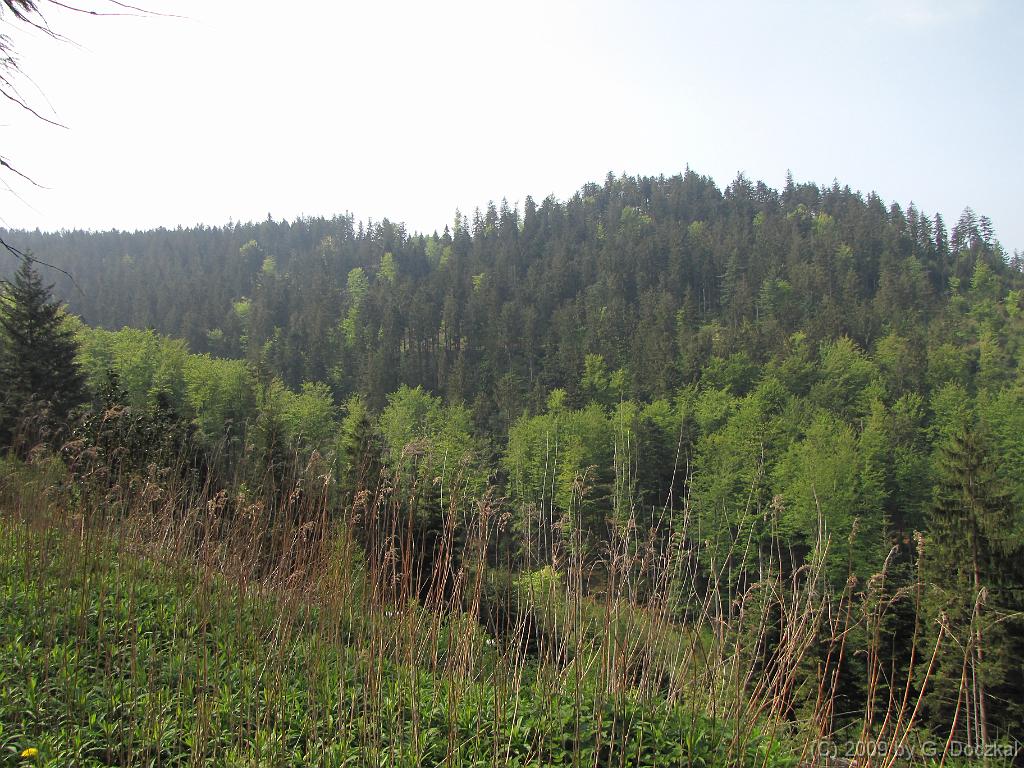 20090502-110546-51