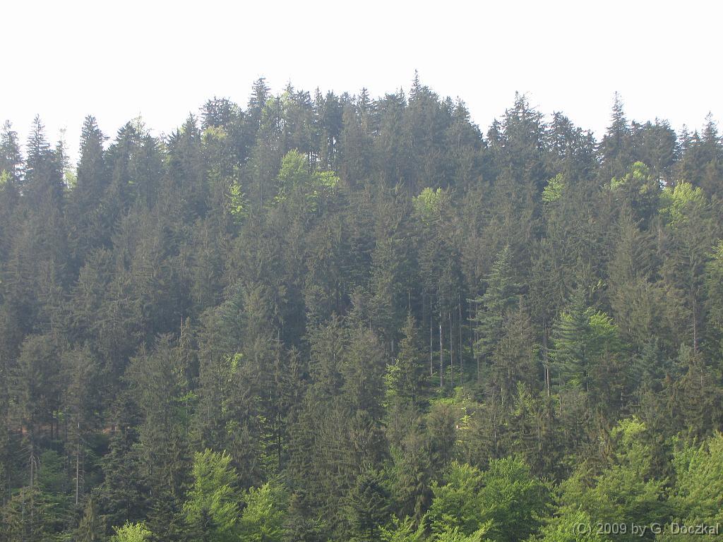 20090502-110601-53