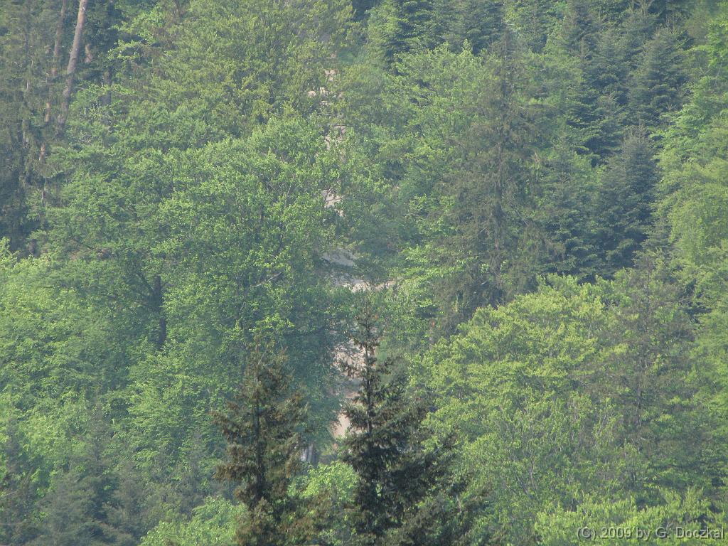 20090502-120809-73
