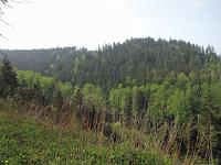  (C) 2009 by G. Doczkal, 
Blick zum Bernstein, 
48.81448°N/8.40014°E, 2.10  Km von Bernbach, Baden-Württemberg, Germany