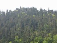  (C) 2009 by G. Doczkal, 
Der Bernstein, 
48.81448°N/8.40014°E, 2.10  Km von Bernbach, Baden-Württemberg, Germany