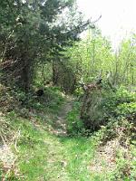  (C) 2009 by G. Doczkal, 
Der Weg hinab, 
48.83589°N/8.37494°E, 1.68  Km von Freiolsheim, Baden-Württemberg, Germany