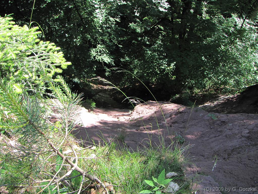 20090613-115340-40