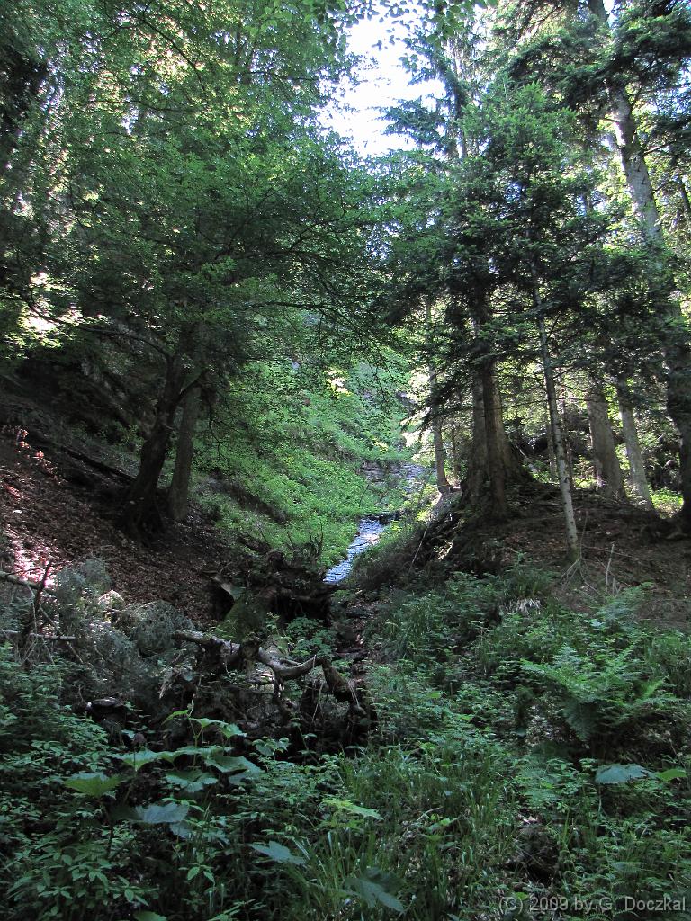 20090613-115706-46
