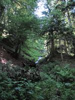  (C) 2009 by G. Doczkal, 
Laufbach, 
Großes Loch bei Loffenau, Baden-Württemberg, Germany